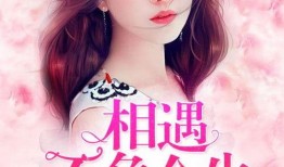 相逢 在线观看,一场跨越时空的邂逅在线观看之旅