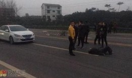 梅华车祸最新爆料消息,事故真相再掀波澜，疑点重重引关注